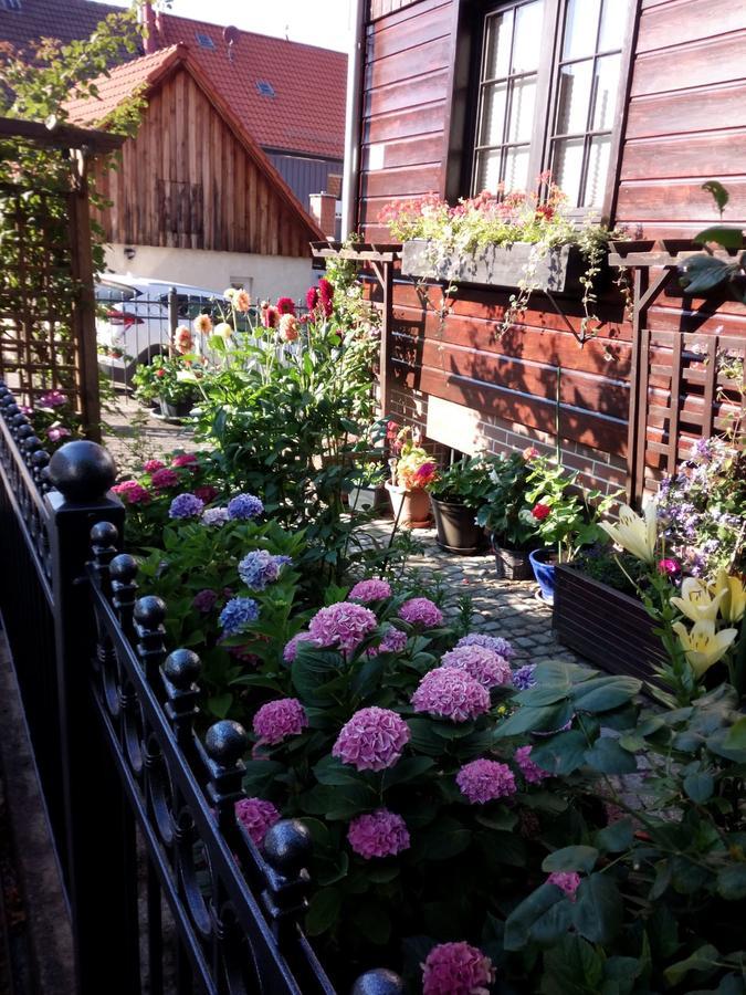 Fewo Carmen Apartment Wernigerode Exterior photo